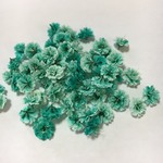 ドライフラワー⭐️かすみ草　ミント