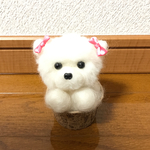 羊毛フェルト ポメラニアン 白 カップ入り