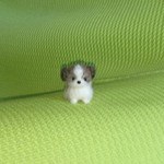 シーズー パピー ゴールド＆ホワイト 羊毛フェルト