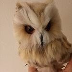 ~ご予約のかた専用のページ~(送料込み)