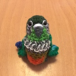 Miraさま♡専用注文ページ②:お胸が可愛い♡ウロコインコちゃん（中型インコ）