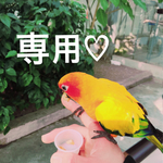 専用①