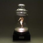 タツノオトシゴ 乾燥標本 LEDランプ ライト B003