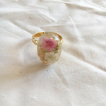 春色リング