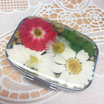 ビンテージなピルケース