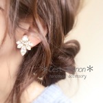 bigswaro ＊earaccessory＊