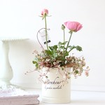 *春色ラナンキュラスの寄せ植え*pink