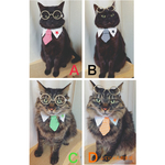 チェック柄ネクタイ付き三角襟猫ちゃんの首輪