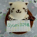 ayumi1029様専用ラテにゃーと(ニャロン)