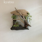 【着払い】《SALE!》【30】壁掛け 流木アート★流木グリーン　  