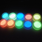 超発光 夜光パウダー (蓄光パウダー) 10色SET 各色2g入り 材料 素材 レジン ネイルアート パーツ 手芸
