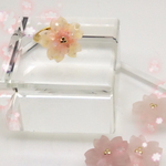 シェルの桜リング