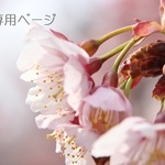B様専用ページ