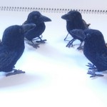 羊毛ハシボソカラスストラップ