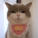 バンダナ
