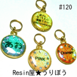 ペットの迷子札♡#120