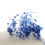 ドライフラワー　乾燥花　ミニカスミ草03　紺