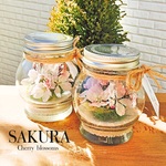❀SAKURA ~cherry blossoms~❀