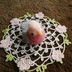 飼い鳥シリーズ～モモイロインコ～