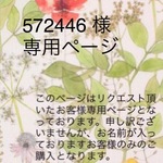 お客様専用ページ  スリムメガネケース♪  ペンケースにも！☆   Felicite all pink