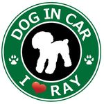 naruさま専用画面（I LOVE RAY）