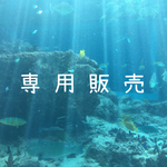 まる様専用★+ﾟ