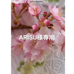 ARISU様専用◆ポーセラーツ