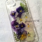 iphone5／5S SE ケース ビオラ