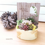 多肉植物アレンジ★ウォールポケット