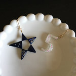 すうじのピアス