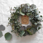 Eucalyptus【ユーカリ】harmony