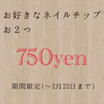 お好きなネイルチップ お２つ750yen (～2月22日まで)