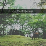 【merorin9 様専用】ページ