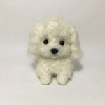 ふせプードル