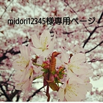 midori12345様専用ページ