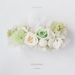 barrette "  muscat " 0813