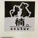 シュナとチワワ