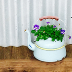 『easter7bunnyさま』専用