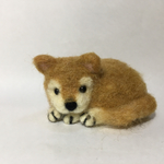 まるまり秋田犬