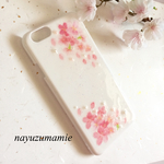 ＊桜＊iPhone6,6sハードケースW【30】