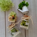 お部屋に癒しを グリーン系 ミニ瓶詰めアレンジセット プリザーブドフラワー     