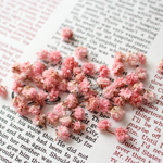 ✩かすみ草♡50輪✩アンティークピンク♡プリザーブドフラワー♡レジンやアイスレジンやアクセサリー作りに。