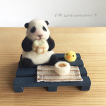 パンダの赤ちゃん✳︎クウ