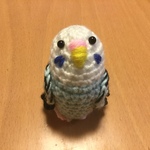 merry7さま♡ご注文専用ページ:セキセイインコちゃん（ホワイトミントブルー）