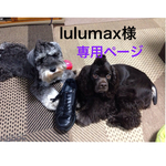 lulumaxさま専用