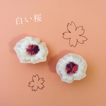 白い桜の刺繍イヤリング