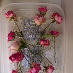 ドライフラワー 薔薇 容器⑩