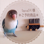 tama54 様＊＊＊ご予約商品