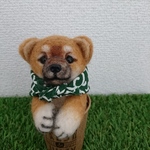 カップイン柴犬(豆助風)茶