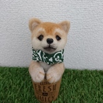 カップイン柴犬(豆助風)薄茶